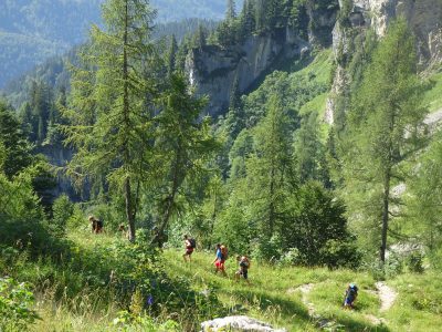 2018-08-04 SVA Pühringerhütte (3)